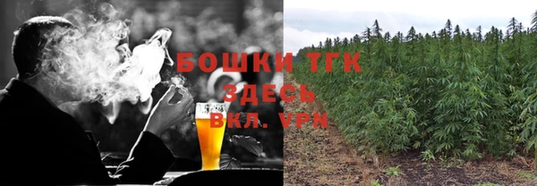 амф Богданович