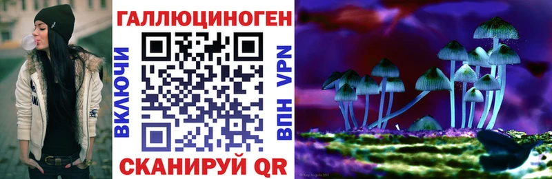 что такое   Краснокаменск  Псилоцибиновые грибы ЛСД 